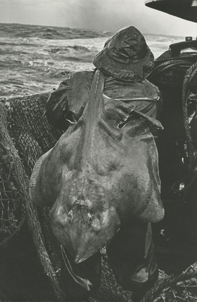 Yuri Krivonosov.
Norwegian Sea.
1964