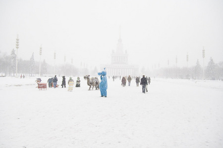 Леонид Студеникин.
Под снегом, 
2009. 
собрание автора