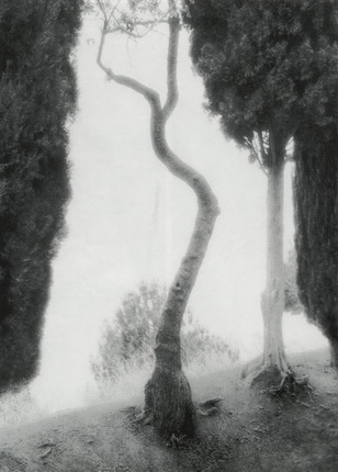Alexander Viktorov. Crooked Tree. 1990
