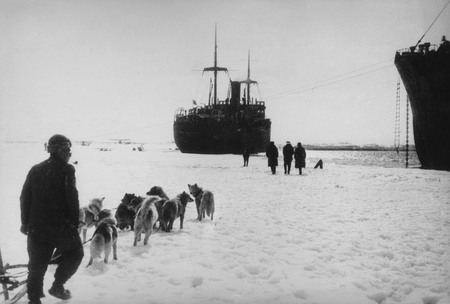 Vladislav Mikosha.
Dog team of expedition to rescue the Cheluskin crew. Providence Bay. 
1934. 
Collection of Jemma Firsova-Mikosha