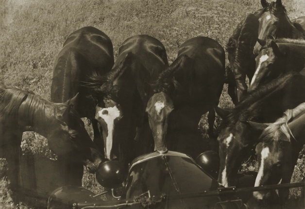 Михаил Прехнер.
Для книги «Первая конная». 
1935.
Авторский серебряно-желатиновый отпечаток