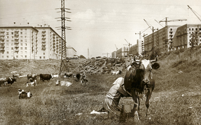 Москва строится. Черемушки. 1954
Из собрания МАММ/МДФ