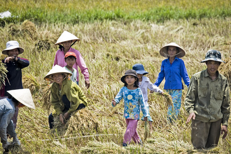 Sergey Kovalchuk.
Rice picking. Vietnam. 
2009. 
Collection of the artis.t
© Sergey Kovalchuk