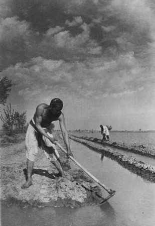 Max Penson.
Ground irrigation.
1939.
Collection of the museum “Moscow House of Photography”