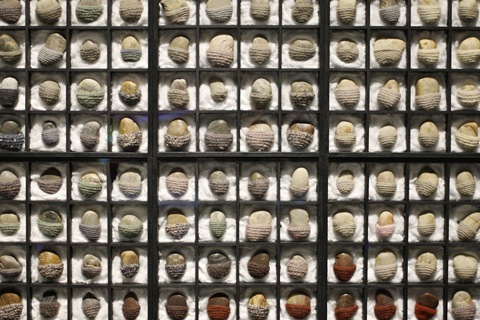 MishMash group.
Be Softer! 2008.
Installation.
Wood, organic glass, stones, wool