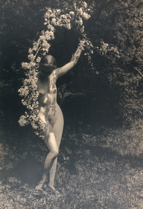 Yuri Eremin.
Spring. Early 1920s.
Artist’s silver gelatin print.
Alex Lachmann’s collection