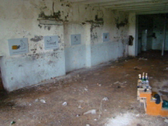 Фотоакции Исчезновение белых кружочков. 2010. Г. Титов