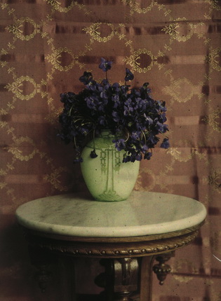 Piotr Vedenisov.
Flowers in a vase. 1910s.
Digital print; original – autochrome.
Collection of the Museum «Moscow House of Photography»