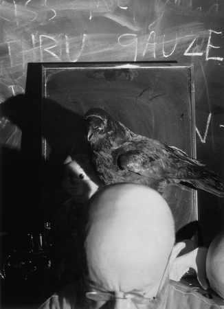 Jim Dine.
Thru Gauze. 
1998. 
Collection de la Maison de la Photographie Europeenne, Paris