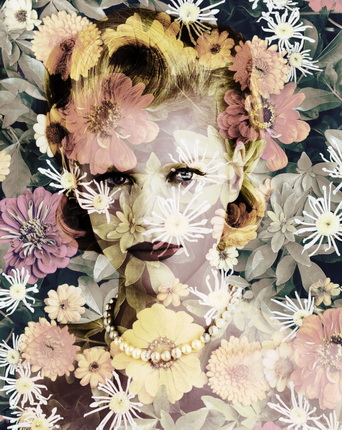 Valérie Belin.
Chrysanthemum (Tokyo), from the series “Black-Eyed Susan”, 2010.
© Valérie Belin. Courtesy Galerie Jérôme de Noirmont, Paris.
163 x 130 cm.
From an edition of 3 prints, 1 artist's proofs