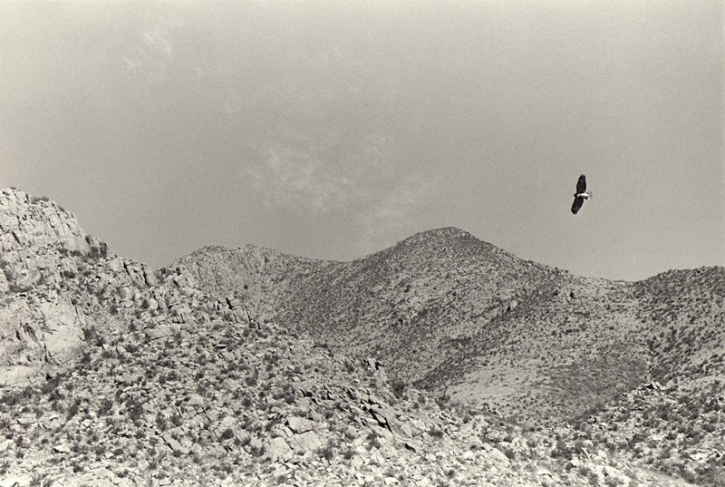 Бернар Плоссю 
Орел, Аризона, 1979
© Bernard Plossu