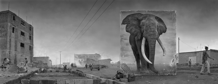 Ник Брандт.
Радиостанция  и слон, 2014
© Ник Брандт