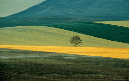 Franco Fontana.
Landscape, Italy. 
1978. 
Collection of the artist, Italy