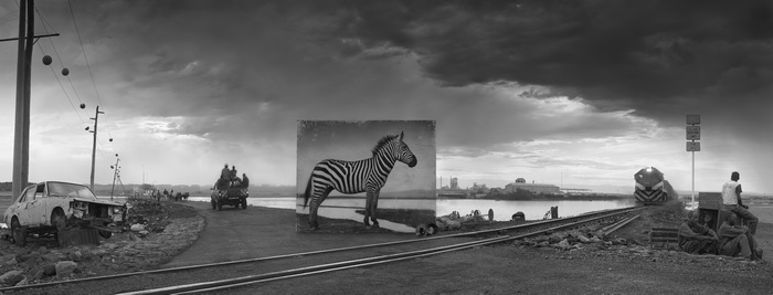 Ник Брандт.
Дорога к фабрике и зебра, 2014
© Ник Брандт