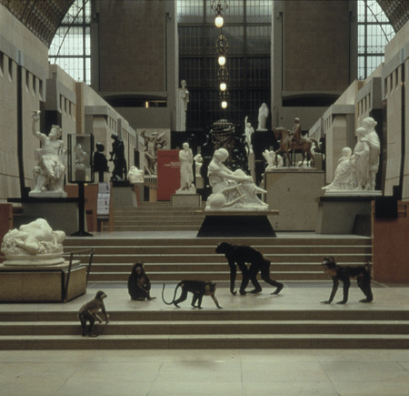 Karen Knorr.
The art fans. 
1998. 
The collection of the National Fund of the Contemporary art, Paris