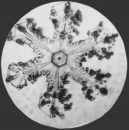 Тамара Першина.
Из Атласа снежинок. 
Микрофотография, 1950-е.
Частное собрание, Германия