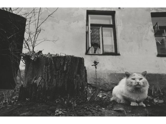Natalia Bogdanovich, Sergei Pushkin.
Untitled. From the ‘Cats in the City of Grodno’ series.
Grodno, Belarus.
2006—2007
Gelatin silver print
Collection of the Multimedia Art Museum, Moscow