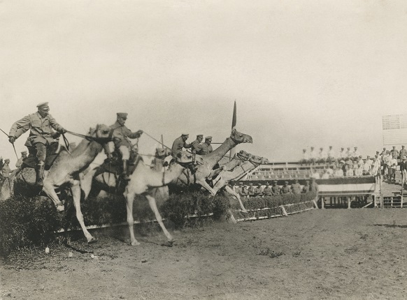 Неизвестный автор.
Перед приходом британцев. Национальные африканские скачки на верблюдах «Гранд Нэшнл», 1914-1915.