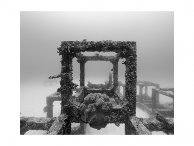 «Искуcственный риф». Из серии «Подводные структуры».
Кикайдзима, Япония, -18 м.  Экспедиция «Tara Pacific». 2017
©️ ADAGP Paris 2020