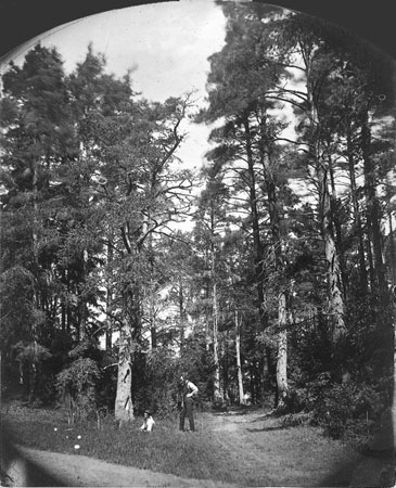 Неизвестный автор.
Пейзаж с двумя фигурами. 
1870