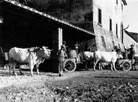Кьянти. Транспортировка бочек в замок Бролио. 
1933. 
Фотостудия Фрателли Алинари