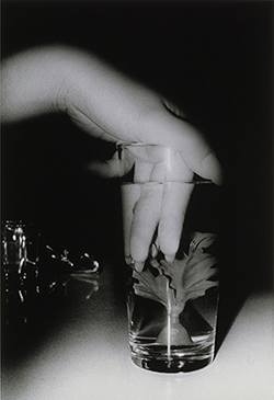 Memory and light. Japanese photography, 1950-2000