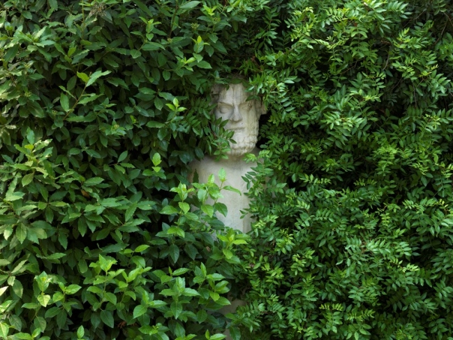 Pale man (Villa Medici gardens). 2011 @Alec Soth