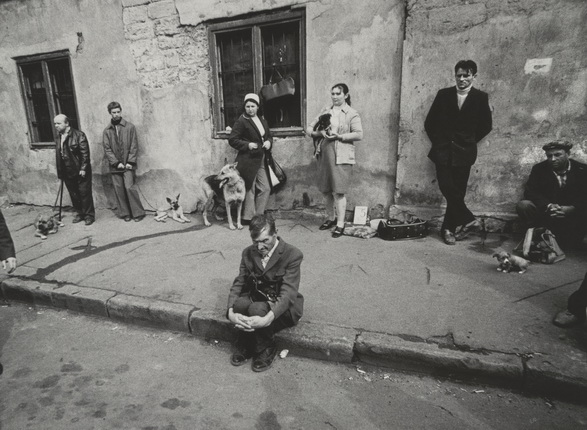 Андрей Баскаков.
Птичий рынок. Одесса. 1976