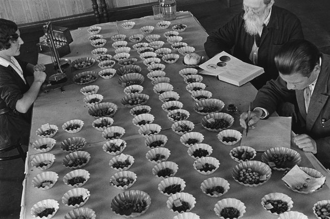 Mikhail Prehner. Institute of plant growing. Leningrad, the 1930s.
Silver-gelatin print