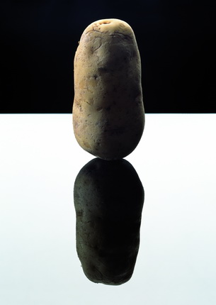 Картофель, 2003.
© Анушка Бломмерс и Нильс Шумм
