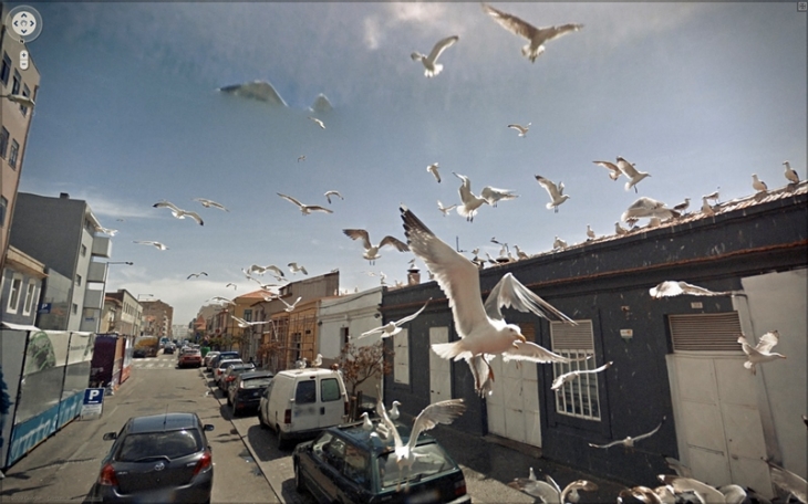 Джон Рафман.
Из проекта Джона Рафмана «Девять глаз Google Street View», 2008–2012.
Цифровой отпечаток.
Собрание Джона Рафмана, Монреаль
