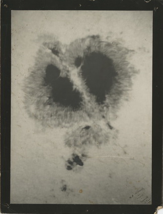 А.П. Ганский.
Снимок звездной туманности, выполненный в Пулковской обсерватории.  
Был подарен А.П.Ганским Н.А.Морозову, с дарственной надписью.
1902.
Серебряно-желатиновый отпечаток
АРАН, ф.543, оп.1, д.154, л.1
