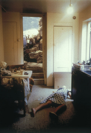 Abigail Lane.
“She didn’t need to open her eyes to see”. 
1997. 
The collection of the National Fund of the Contemporary art, Paris