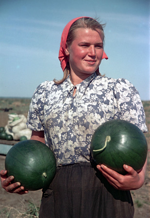 Galina Sanko.
Lubov Serova – accounting clerk of Nazaryevskaya MTS, Altay Territory.
1954.
“Ogonyok” archive