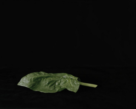 Каролин Шевалье.
Атлас, Имаго Мунди 
2008. 
© Национальный центр изобразительных искусств, Париж. 
CNAP, Реджина Вирсериус