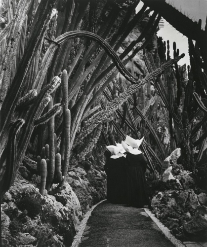 Брассай.
«Экзотический сад в Монако», 1945.
© Estate Brassaï-RMN