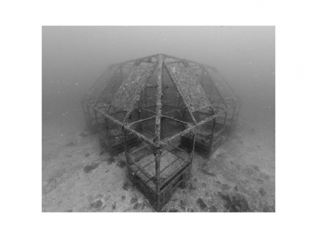 Николя Флок. Искуcственный риф, –19 м. Из серии «Подводные структуры», Хацусима, Япония,
2013. © ADAGP, Paris, 2020