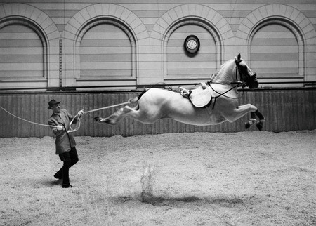 Ханс Хаммаршёльд.
Испанская школа верховой езды. Королевские конюшни. Стокгольм. 
1952. 
© Ханс Хаммаршёльд